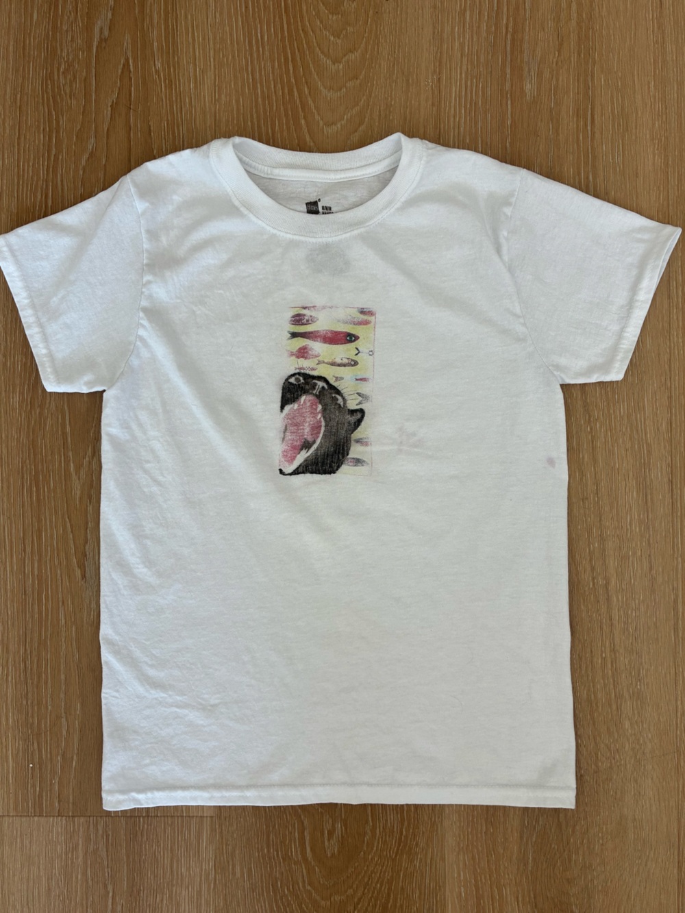 Graphic vintage style baby tee women’s size S/XS (Hanes boys M)